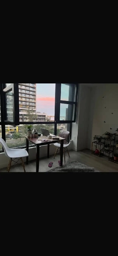 Female roomate required: June 1 Image# 2