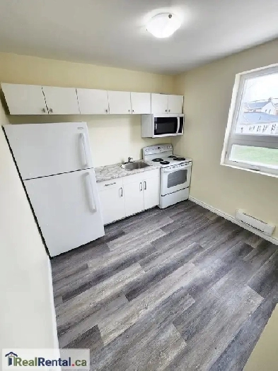 2 Bedroom Apartment for Rent in Mount Forest - 115 Fergus St Image# 1