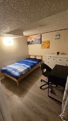 Basement room rental at Dundas West from June 1st Image# 1