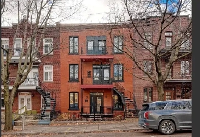 Appartement 31/2 à louer Image# 1