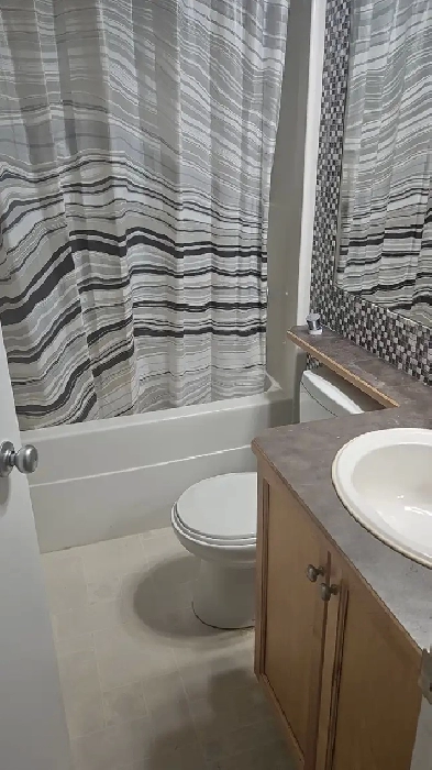 Roommate Needed - Pet Friendly House! Image# 4