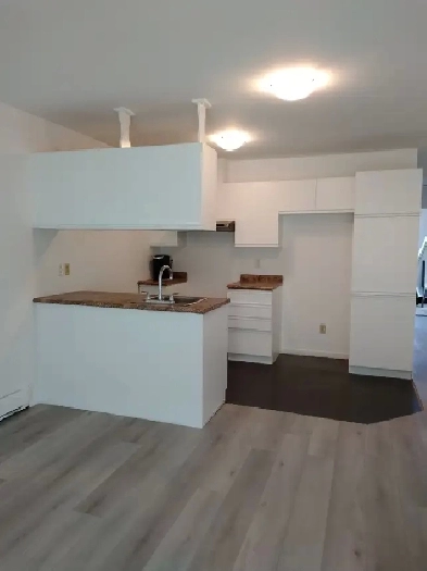 Grand 3 1/2 chambre fermée Pointe aux Trembles Image# 1