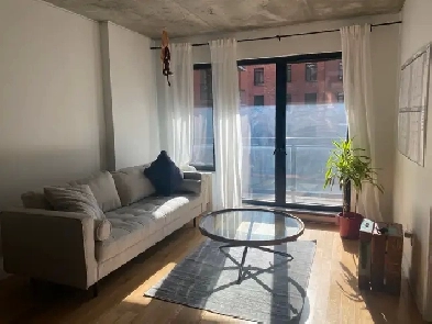 1B1B appartement for rent Image# 1