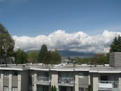 Studio /Bachelor suite  at Kitsilano, $1975, June 1st,2025 Image# 1