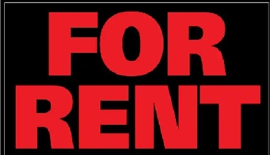 Room for Rent at York U Image# 1