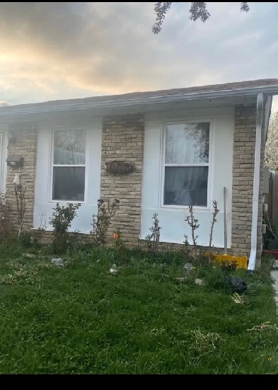 FEMALE TENANT ONLY! 1 bedroom basement apartment for rent Image# 1