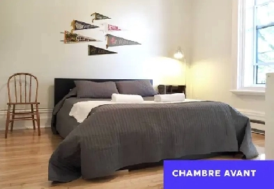 APARTEMENT A LOUER LE PLATEAU Image# 1