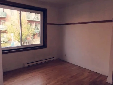 Appartement à louer Image# 5