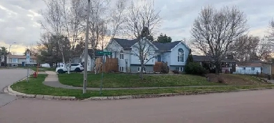 Fully Furnished 2-Bedroom Apartment for Rent Image# 1