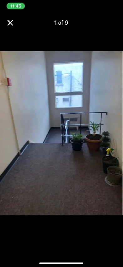 Bachelor apartment for rent Image# 3