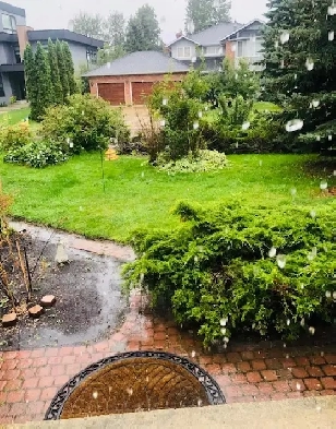 Room available in Beautiful 3 Bedroom 3 Bath House Image# 4