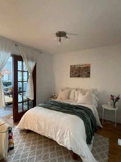 3 1/2 - Vieux-Rosemont, meublé et rénové dans triplex Image# 1