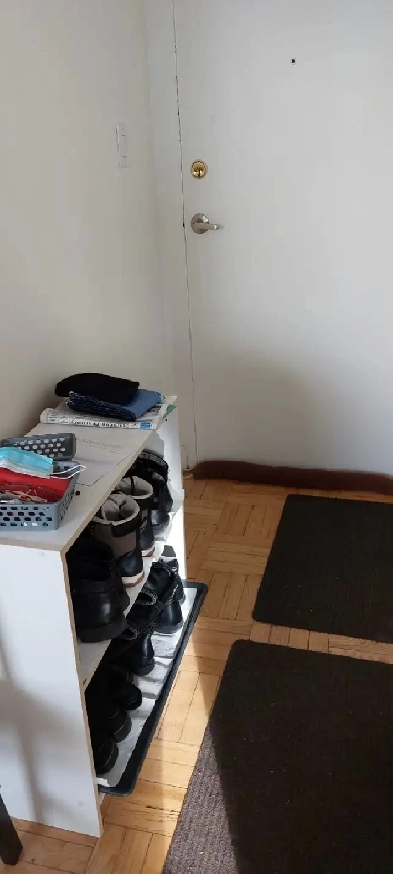 $1750 SUBLET of Jr. 1-bed FURNISHED apt near Univ. of Toronto Image# 5