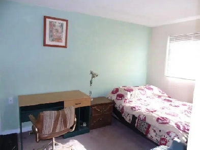 Room near Rundle LRT NE and Mall Image# 1