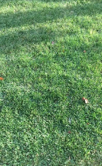 2 Burial plots Image# 1