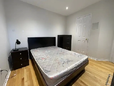 Room for Rent! Image# 3