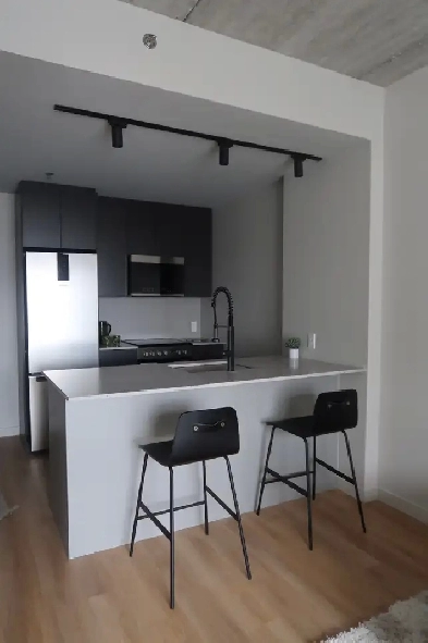 Appartement 3 ½ Meublé à Louer Image# 4