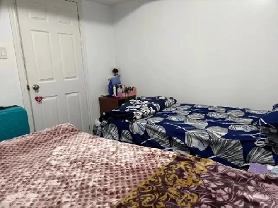 Room on Rent for Girls in Sharing (Torbram-Sandalwood) Image# 3