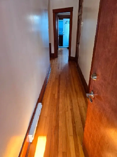 Down town Sydney new upgraded 3 bedroom apt for rent Image# 1