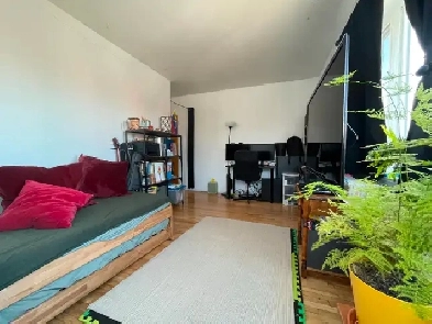 4 1/2 A LOUER 1ER JUILLET DANS SAINT LAURENT CONDO STYLE Image# 7