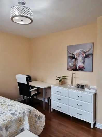 North York one master bedroom renting to female Image# 9