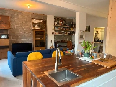 Appartement 5 1/2 rénové avec grand jardin Hochelaga Image# 1