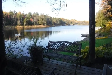 Beautiful unfurnished open concept apt on River Image# 5