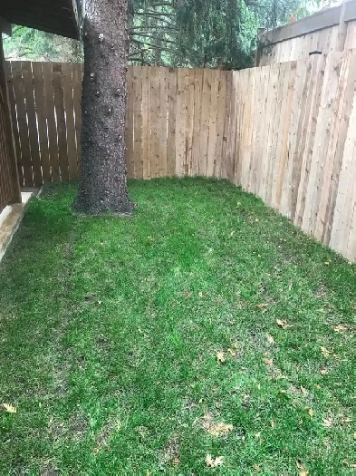 3-Bedroom Renovated Basement Image# 1