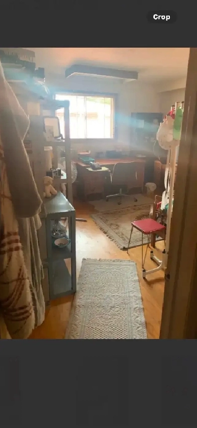 Large bedroom for rent available June 1st Bathurst and Wilson Image# 1