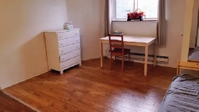 Toronto Downtown Bachelor Studio Apt Available Utility Inclusive Image# 1