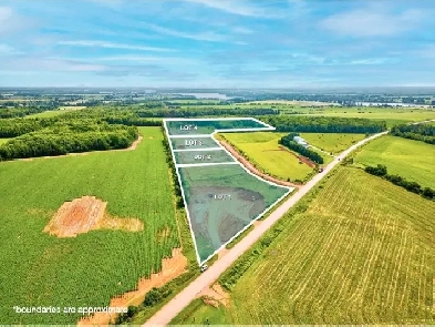 Bloomfield PE Lot Available! Perc Tested and ready! 2.2 Acres Image# 5