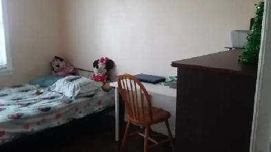 1 BEDROOM & LIVINGROOM ( 2 NEPALI / S Asian Boys, $ 400 / person Image# 1