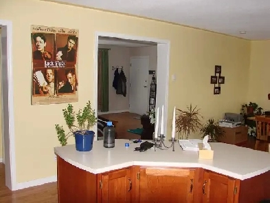 Beautiful Apartment Image# 7