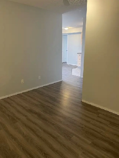 All Utilities Included. In-Suite Laundry 1 bedroom apartment. Image# 5