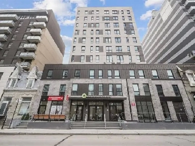 Spacious bright two bedroom apartment in the heart of Montreal Image# 7