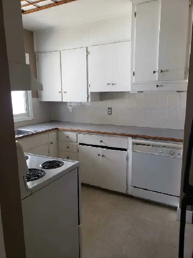 House for rent in Killarney/ Glenbrook SW Image# 8