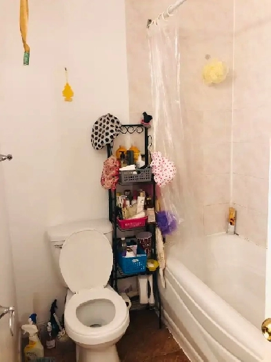 One First-floor bedroom for rent only for female at Finch/Warden Image# 6