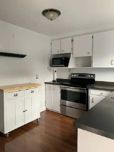 Scott St - 3 bedrooms upper level   2 bedroom basement apartment Image# 2