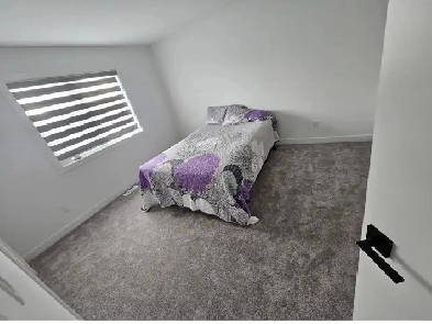 Room For Rent Image# 1