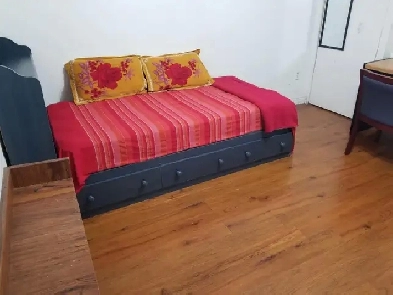 Private Room Rent for Female ( Basement) Image# 1