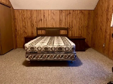 One Large Bedroom for Rent Image# 1