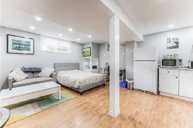 Furnished Studio Apartment with Internet, Parking in Waterloo Image# 1