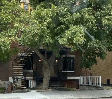 Appartement : 5813 Rue Saint-Denis, Montréal Image# 1