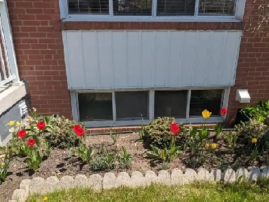 One bedroom basement available from June 1st,2025 Image# 1