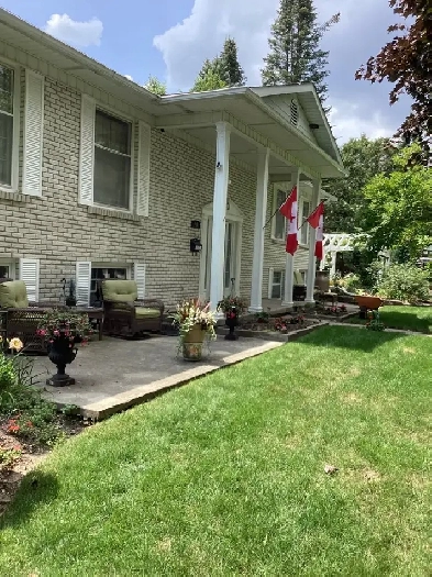 Young Professional in UW Area Image# 1