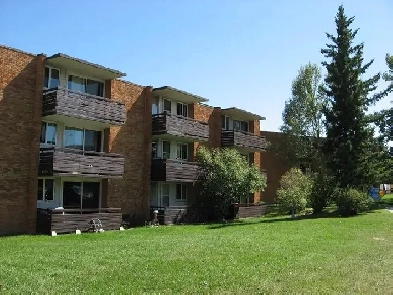 Cozy 1 bedroom suite on 3rd floor available immediately Image# 3