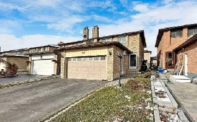 Full Ground floor/Top Floor Available in Markham Image# 1