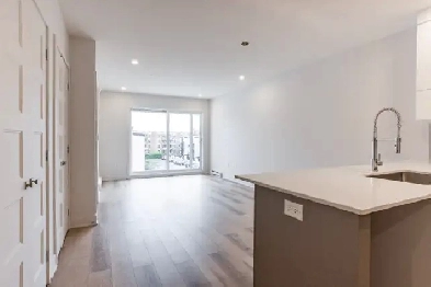 3 1/2 NEUF et SPACIEUX, Metro Pie-IX (Marché Maisonneuve) Image# 1