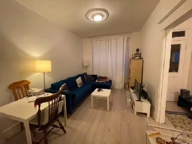 Verdun 1er étage 5 1/2 avec sous-sol juillet Image# 1