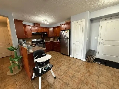 Investor ALERT!! Spacious 2 bed/2 Bath in Tofield! Image# 4